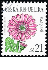 Krása květů - gerbera - č. 550 - razítkovaná