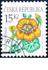 Krása květů - lichořeřišnice - č. 529 - razítkovaná