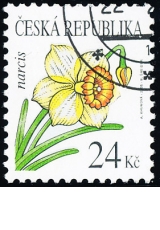 Krása květů - narcis - č. 466 - razítkovaná