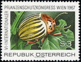Rakousko - čistá - č. 1243