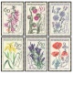 Květiny - čistá - č. 1377-1382