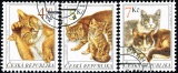 Chovatelství - kočky - razítkovaná - č. 205-207