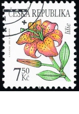 Krása květů - lilie - razítkovaná - č. 423