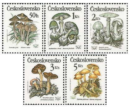 Jedovaté houby - čistá - č. 2909-2913