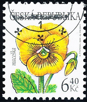 Krása květů - maceška - razítkovaná - č. 330