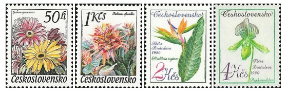 Květiny - Flóra Olomouc a Flóra Bratislava - čistá - č. 2445-2448