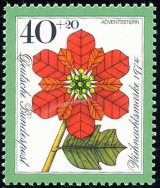 NSR - čistá - č. 824