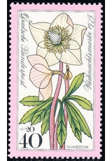 NSR - čistá - č. 874