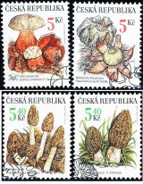 Ochrana přírody - vzácné houby - razítkovaná - č. 264-267