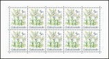 PL 2933 - Zahradní květiny - PL - čistý