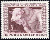 Rakousko - čistá - č. 1244