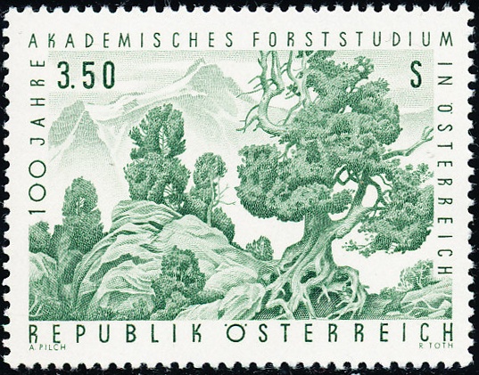 Rakousko - čistá - č. 1251